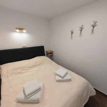 Stars In Nature Apartment