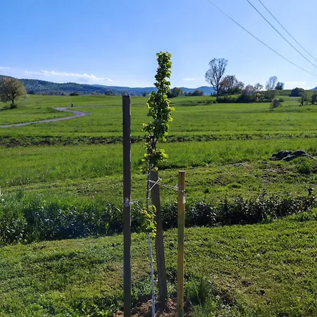 Stars In Nature Apartment Postojna