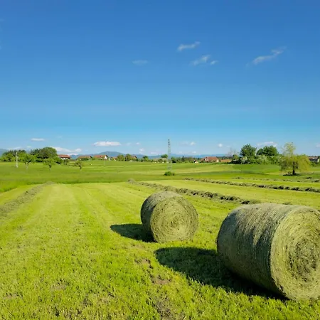 Apartma Stars In Nature