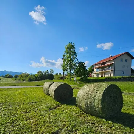 Stars In Nature Postojna