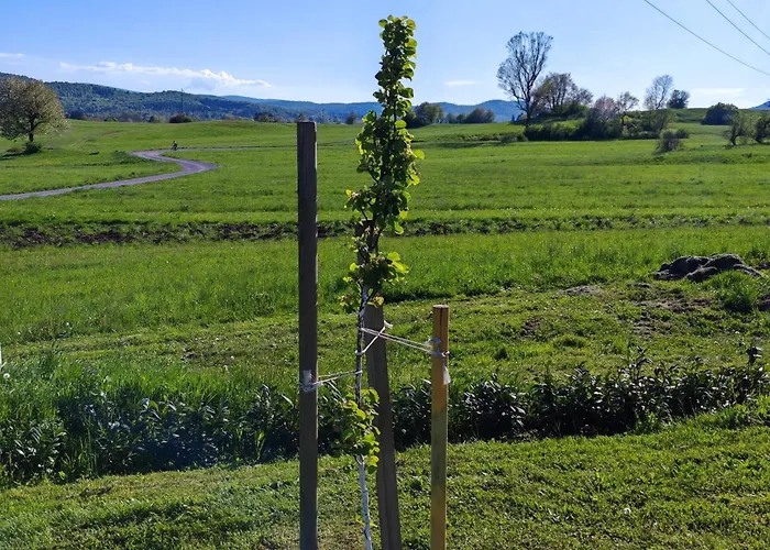 Stars In Nature Appartement Postojna