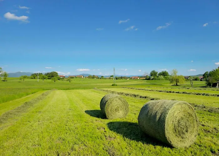 Appartement Stars In Nature