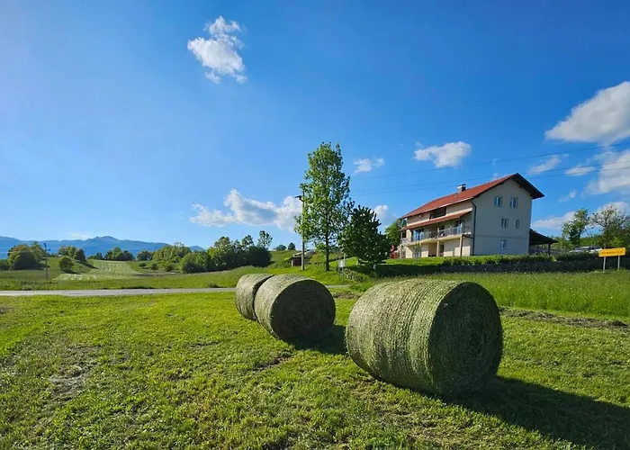 Stars In Nature Postojna